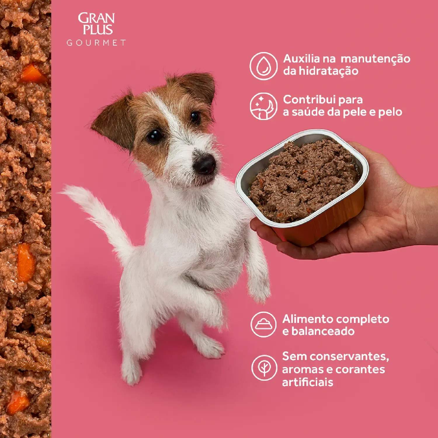 Racao Umida GranPlus Caes Adultos Pate Gourmet Ovelha
